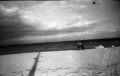 img015.jpg