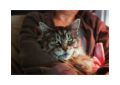 Titus_Ektar_100_et_FE2_C.jpg