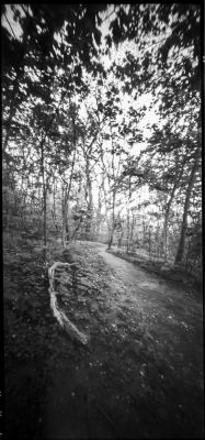C06.jpg