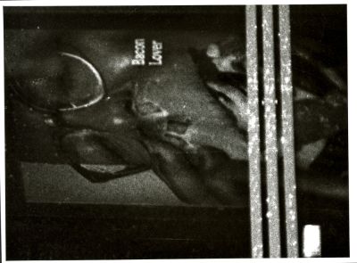 Foma_push800
